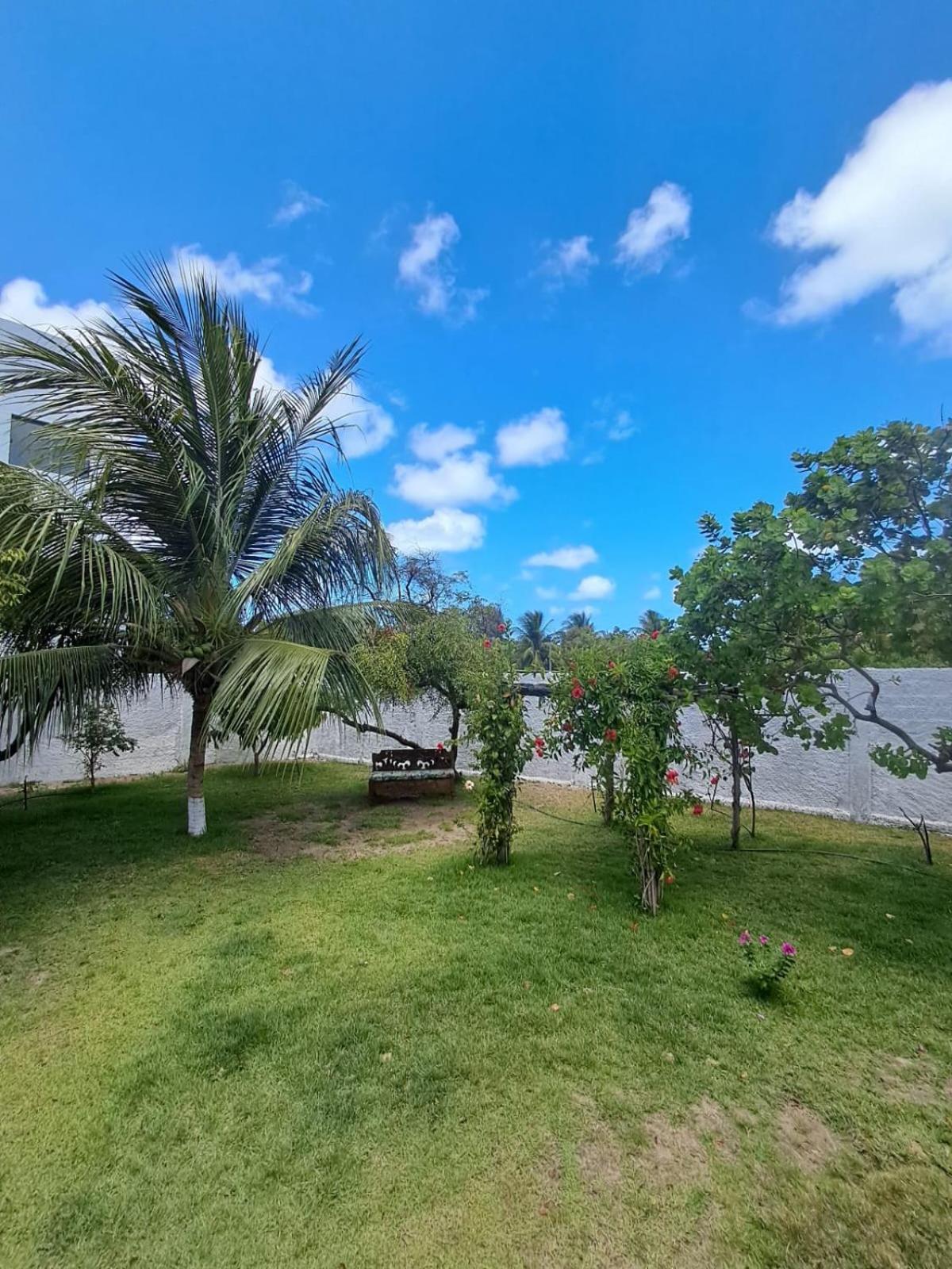Pousada Intimista Odoya Beach - Suite Quadrupla Conde  Exterior foto